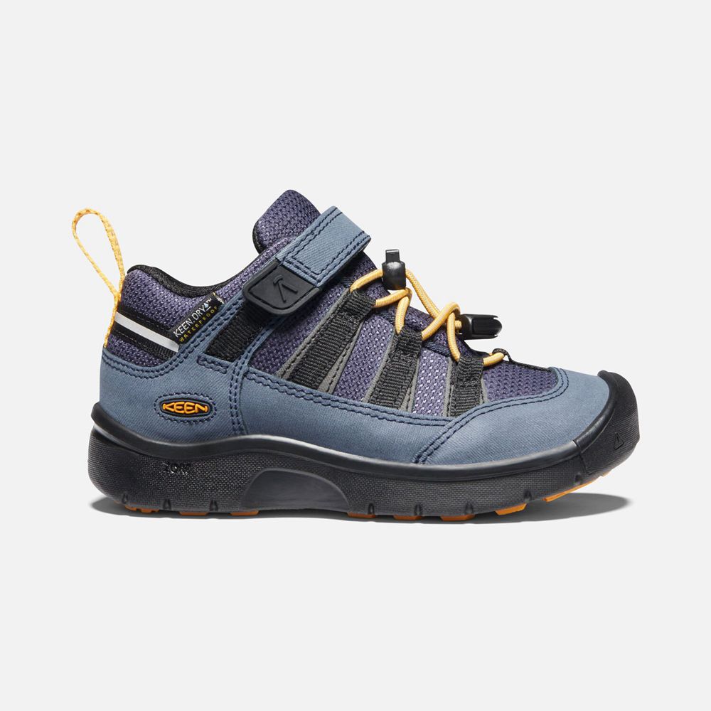 Keen Big Hikeport II Waterproof Sko Børn Blå | MQPZH-4387