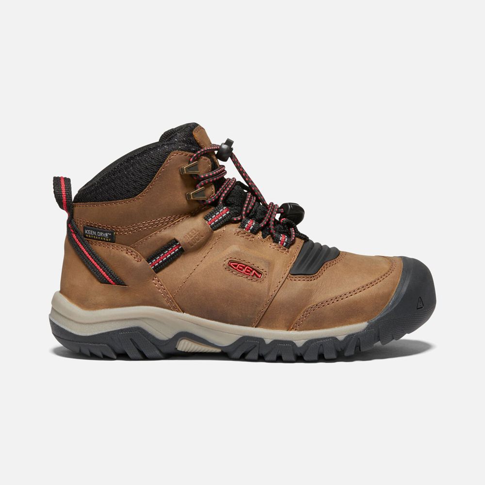Keen Big Ridge Flex Waterproof Støvler Børn Brune | UTNPL-8914