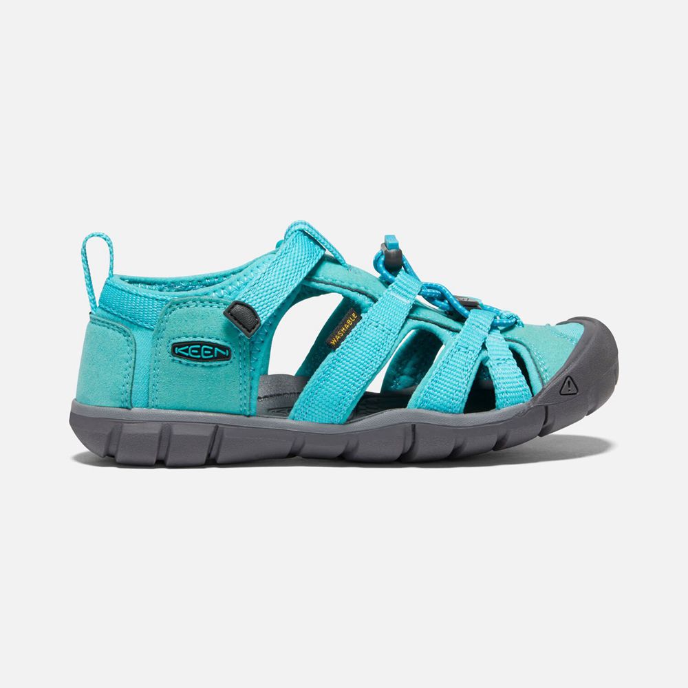 Keen Big Seacamp II Cnx Sandaler Børn Turkis | QKPMY-4957