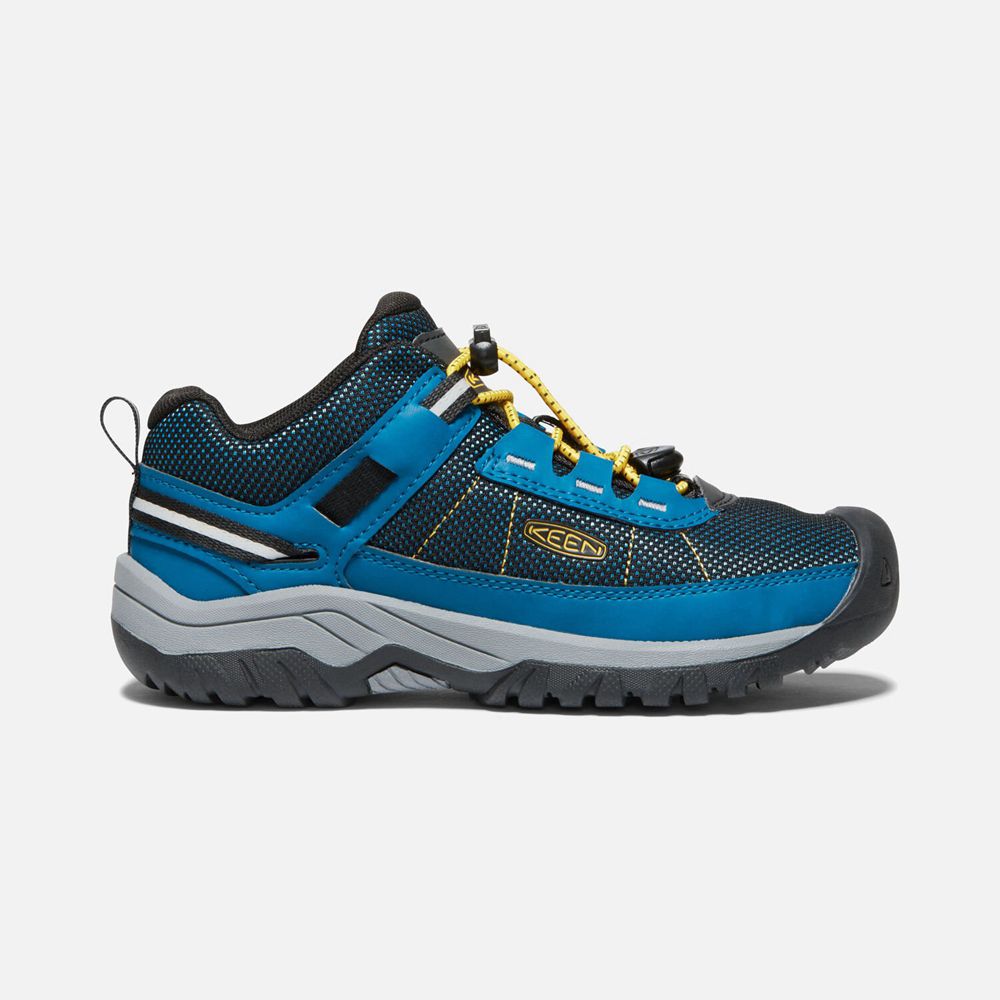 Keen Big Targhee Sports Vent Sko Børn Blå | JMFUB-4971