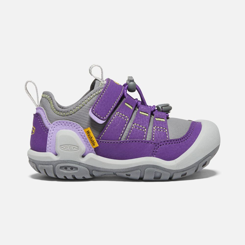 Keen Little Knotch Hollow Sneakers Børn Lilla | DQLNI-5816