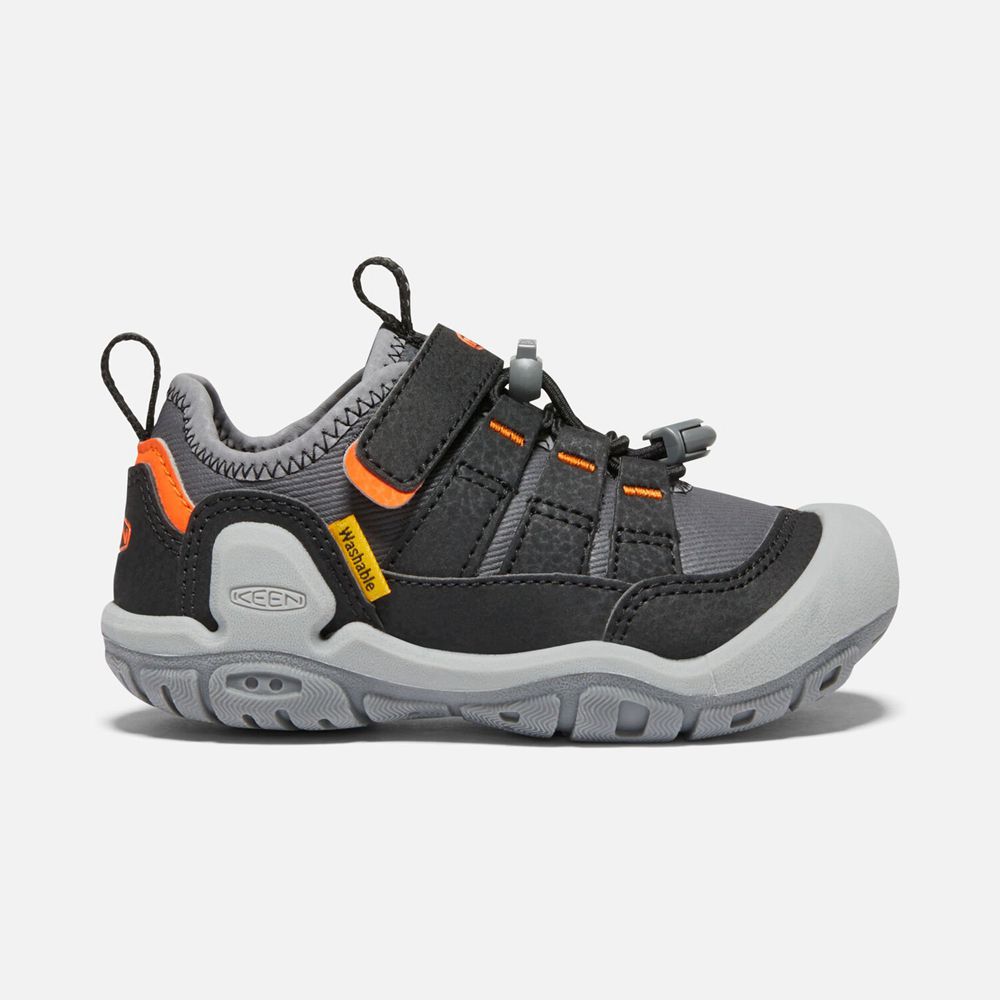 Keen Little Knotch Hollow Sneakers Børn Grå / Sort | KECYU-4138
