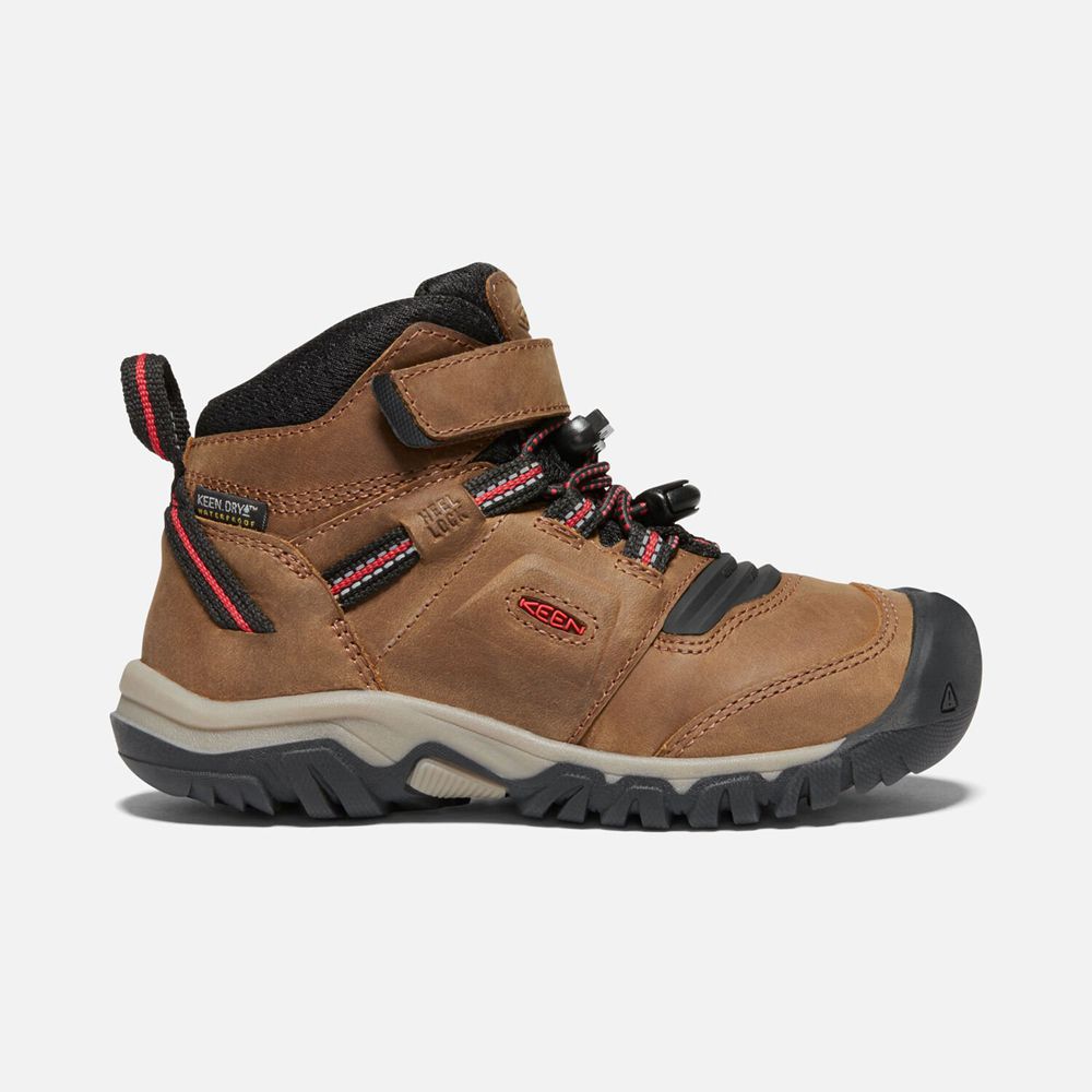 Keen Little Ridge Flex Waterproof Støvler Børn Brune | TVUES-3681