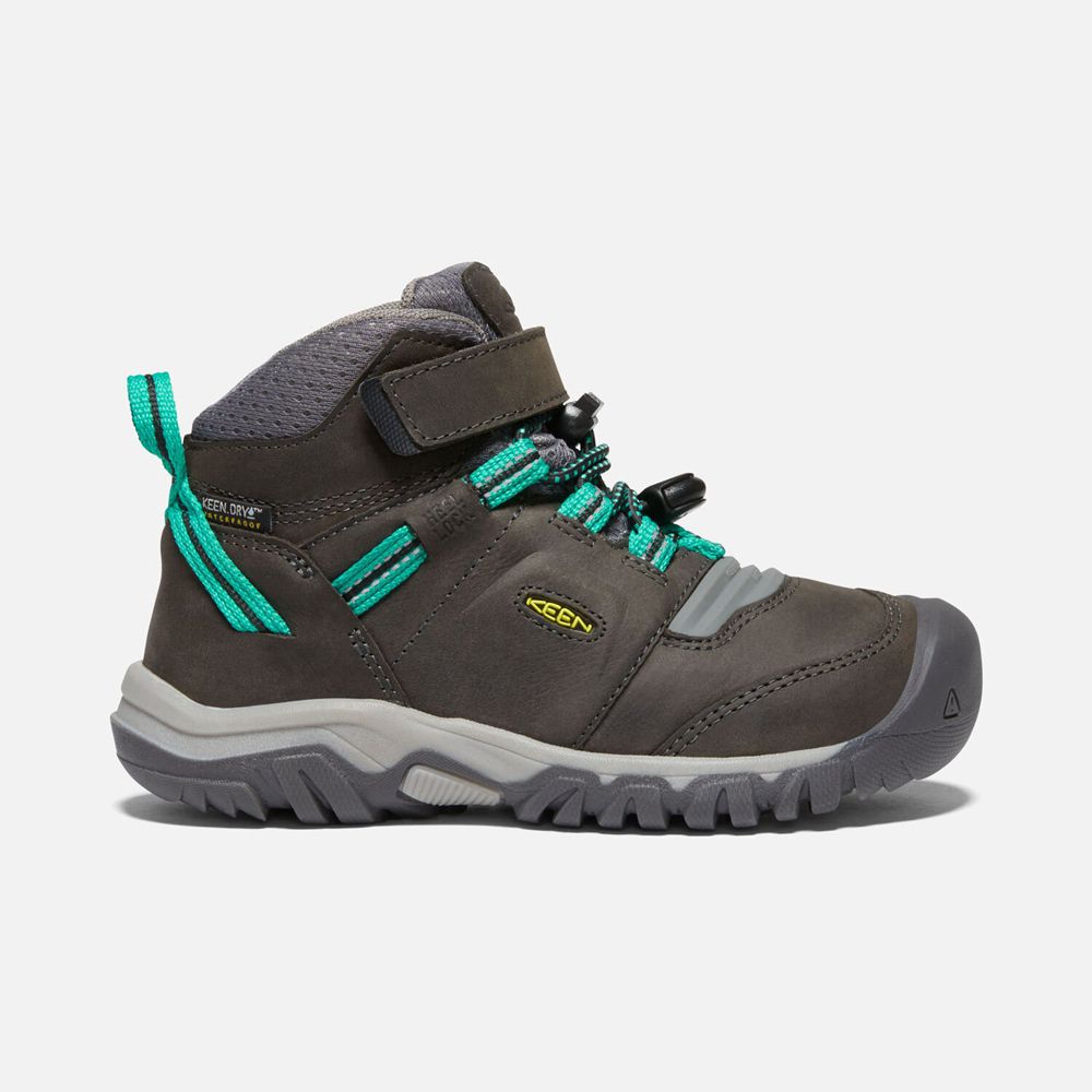 Keen Little Ridge Flex Waterproof Støvler Børn Brune | WTAVB-4871