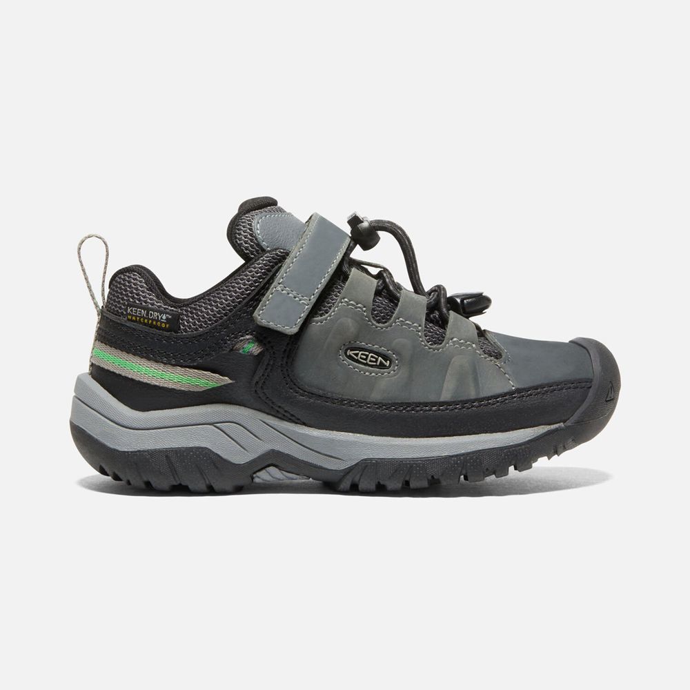 Keen Little Targhee Waterproof Sko Børn Grå | EXZLW-3750