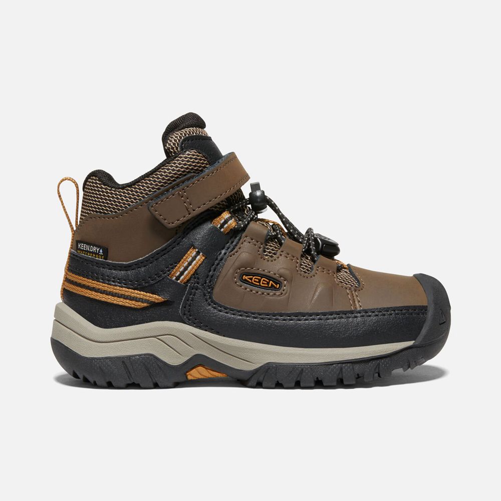 Keen Little Targhee Waterproof Støvler Børn Brune | XALRN-8467