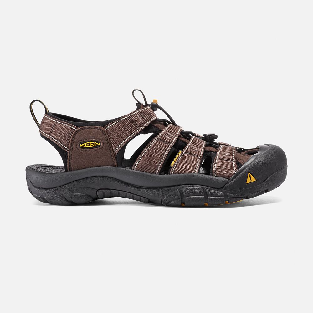 Keen Newport H2 Sandaler Herre Brune | GDLOB-9023