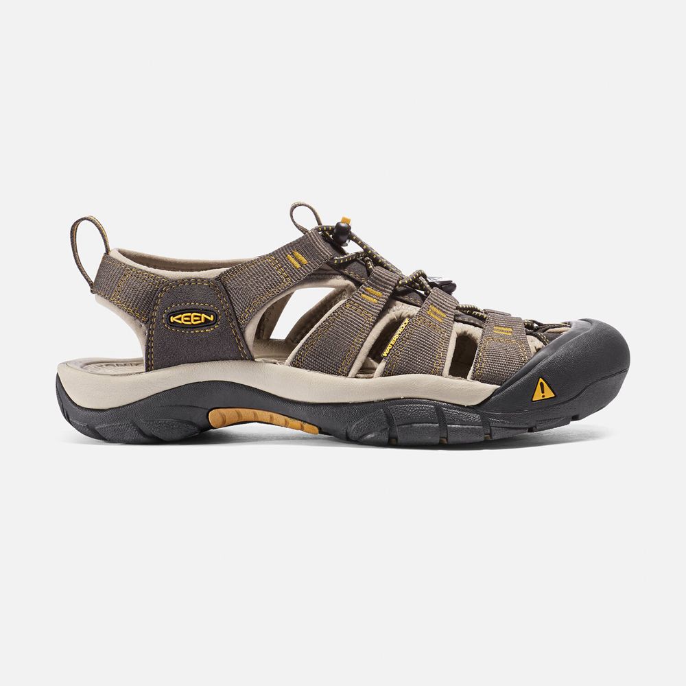 Keen Newport H2 Sandaler Herre Brune | VUHCX-1854