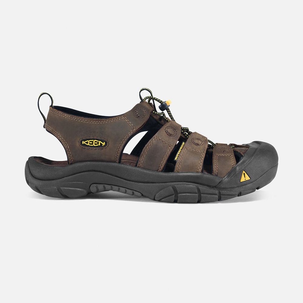 Keen Newport Sandaler Herre Brune | LPOSU-4879