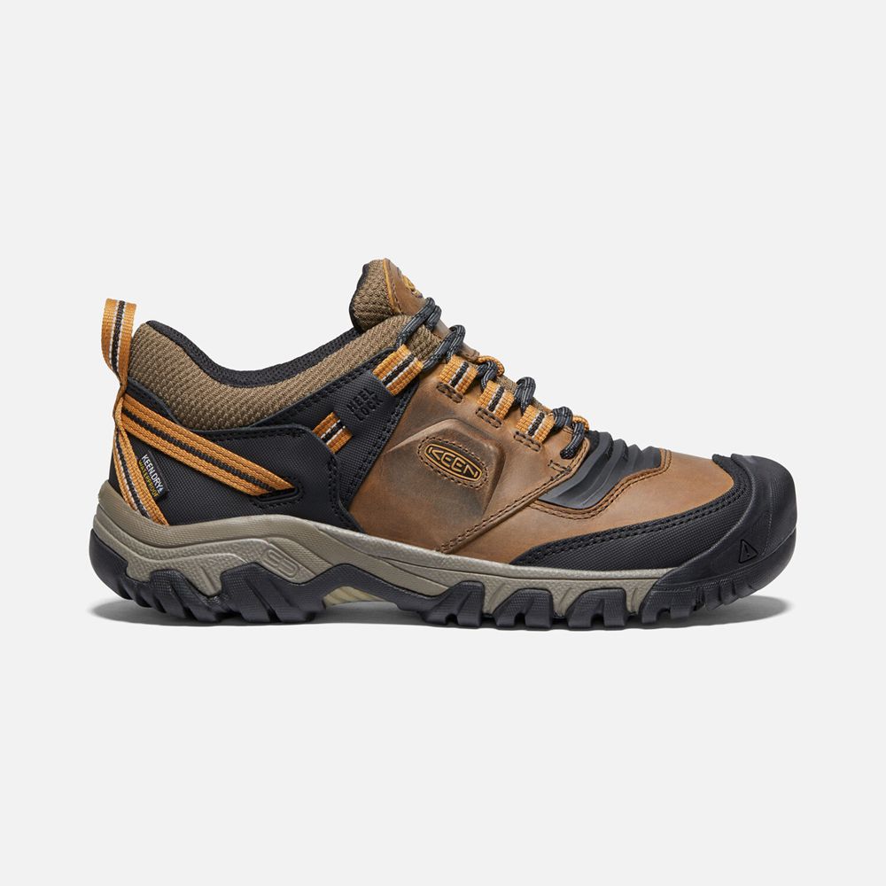 Keen Ridge Flex Waterproof Sko Herre Brune | CBZTK-4278