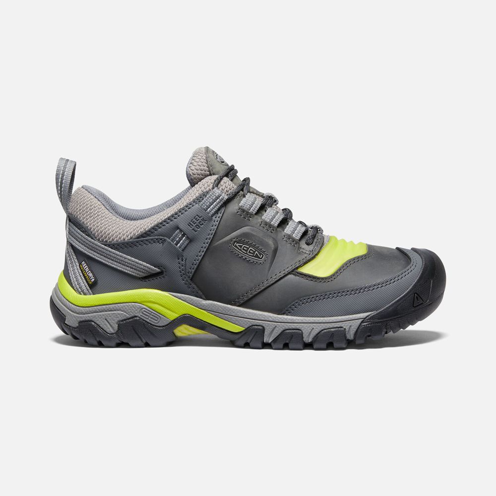Keen Ridge Flex Waterproof Sko Herre Grå | CMOKI-2738