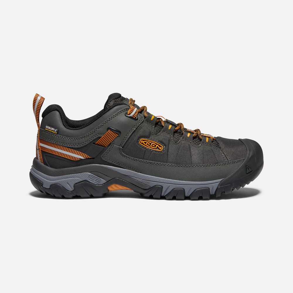 Keen Targhee Exp Waterproof Sko Herre Sort | VFYKQ-4923