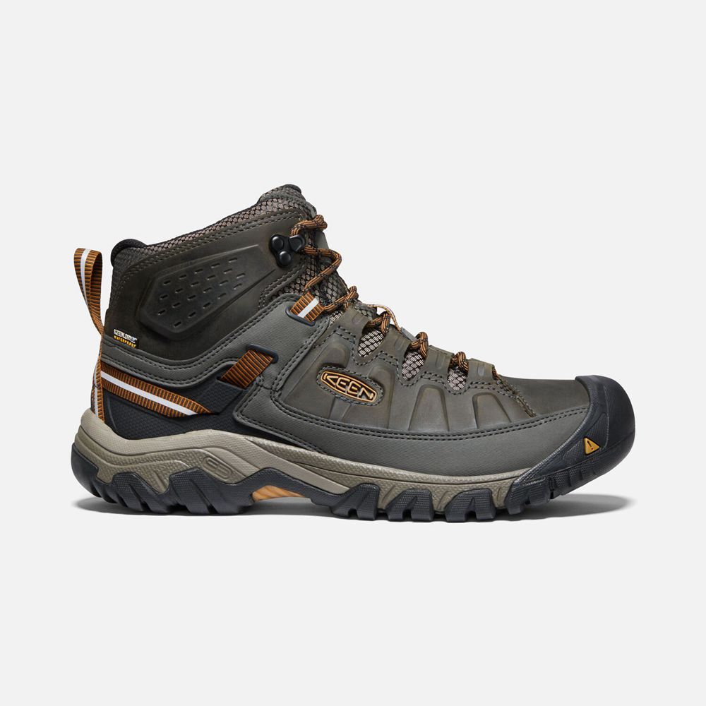 Keen Targhee III Waterproof Mid Støvler Herre Olivengrøn | JBVAP-5934