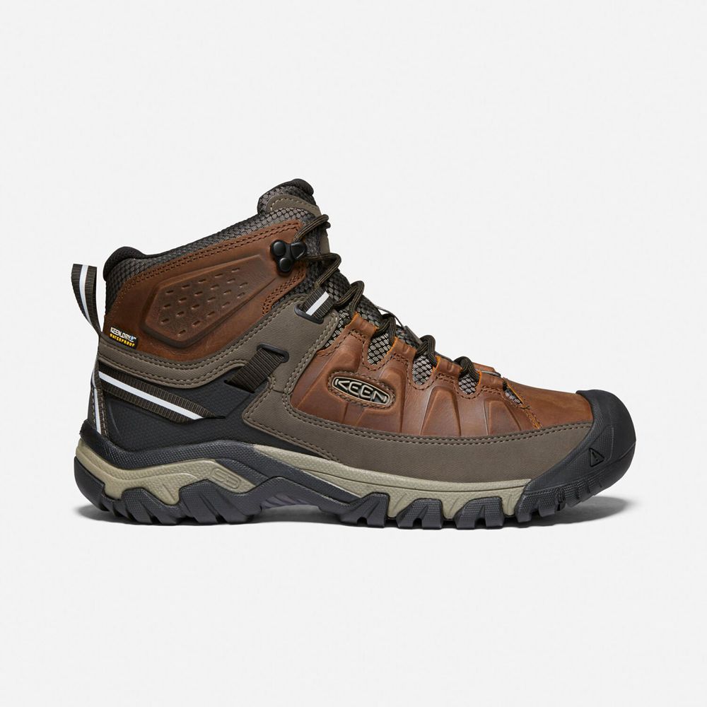Keen Targhee III Waterproof Mid Støvler Herre Brune | QCEPY-8761