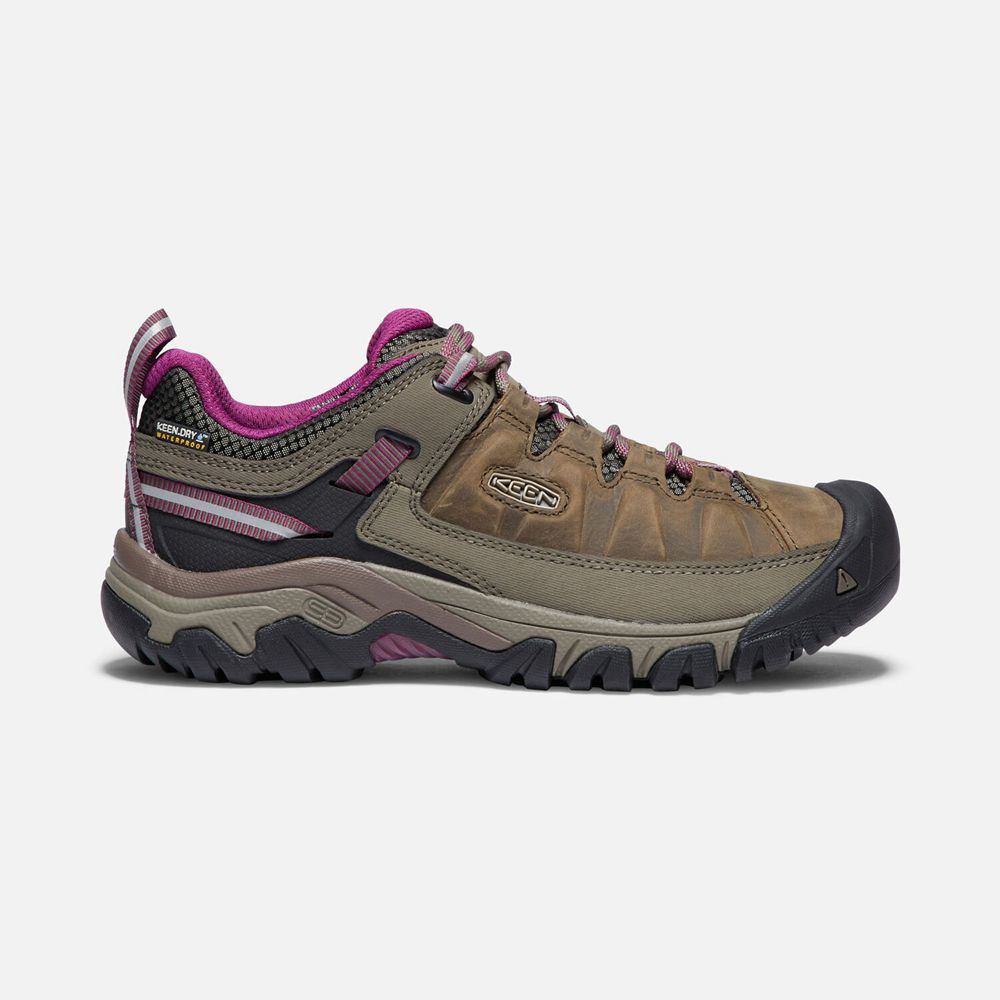 Keen Targhee III Waterproof Sko Dame Brune | BHAGE-7934