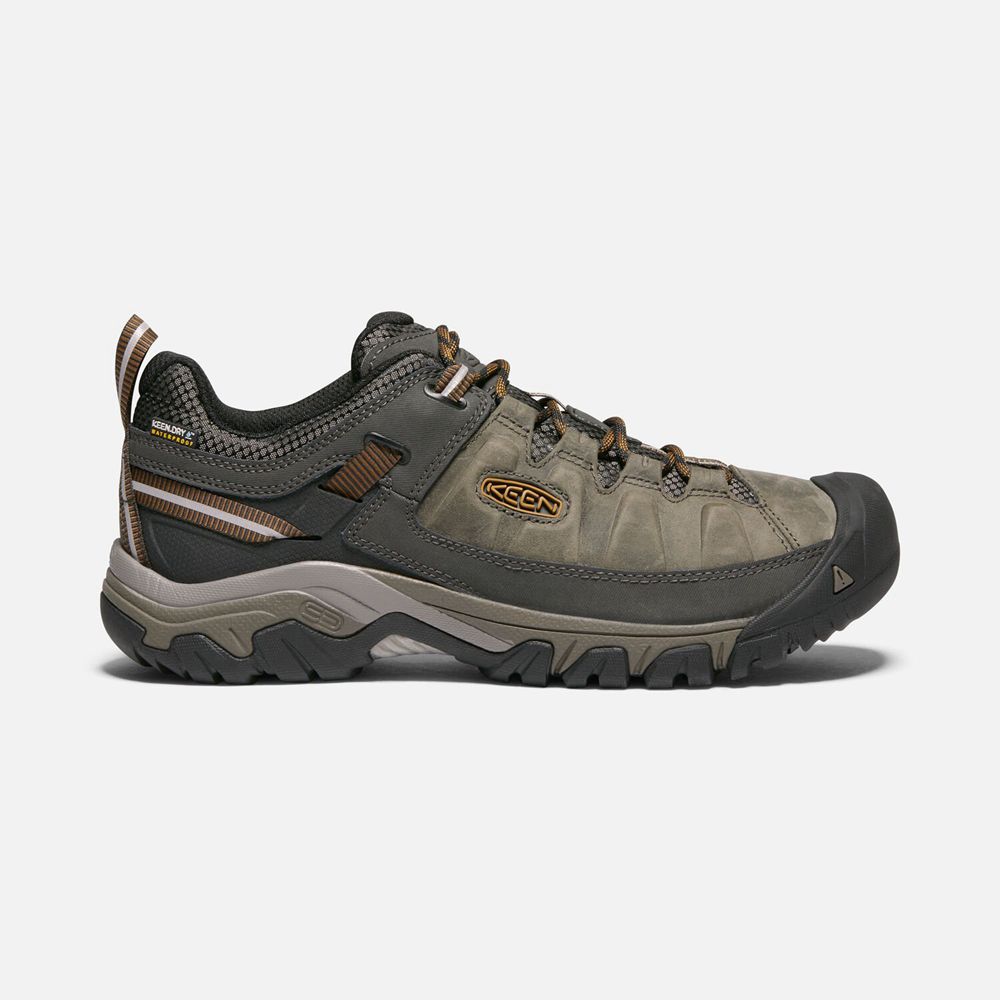 Keen Targhee III Waterproof Sko Herre Olivengrøn | OEJRT-2083