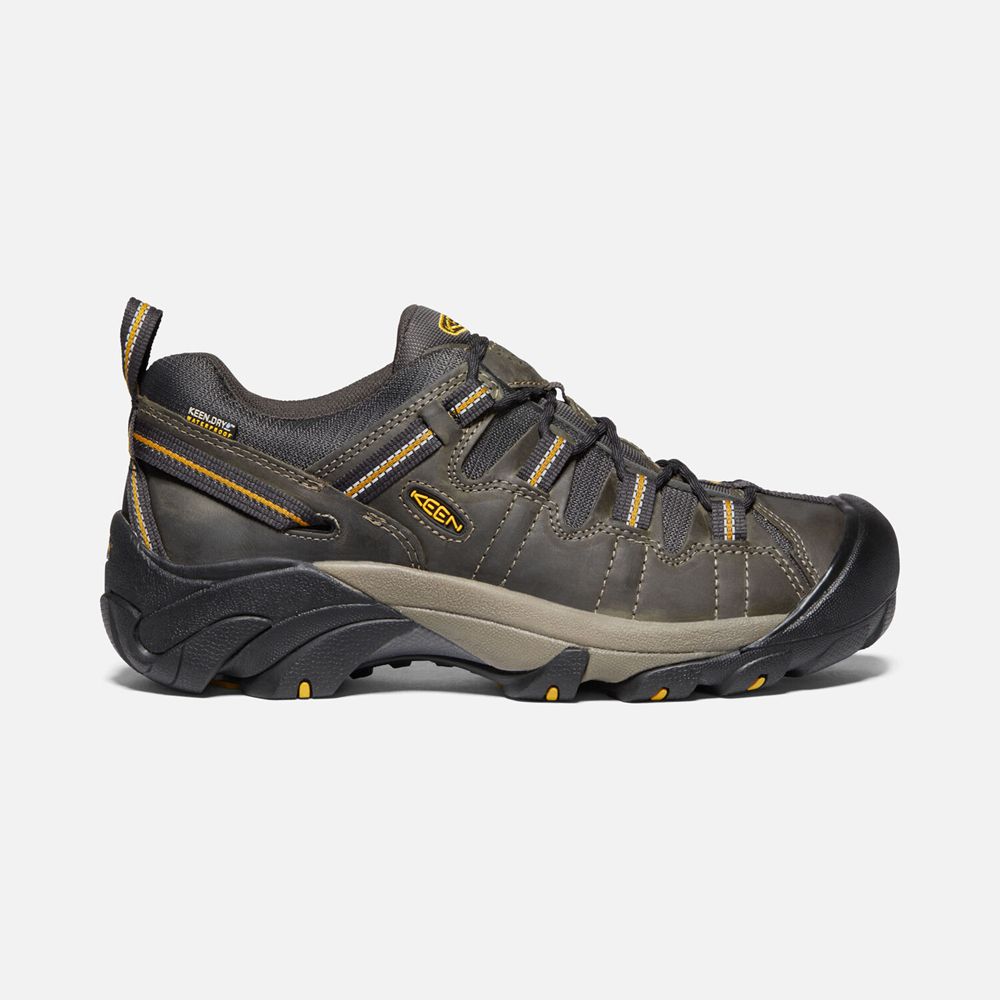 Keen Targhee II Waterproof Sko Herre Brune | UGCEZ-3062