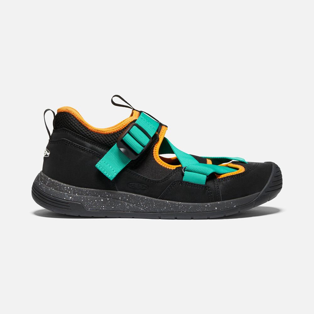 Keen Zerraport Trail Sandaler Herre Sort / Grøn | XDARB-8465